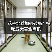 花卉经营如何破局?揭秘五大黄金商机(图3) 花卉经营如何破局?揭秘五大黄金商机(图3)