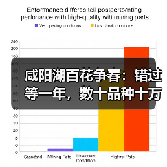 咸阳湖百花争春：错过等一年，数十品种十万株花卉绽放（图1）