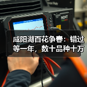 咸阳湖百花争春：错过等一年，数十品种十万株花卉绽放（图2）