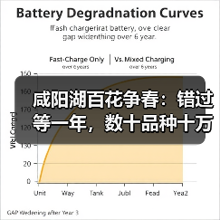 咸阳湖百花争春：错过等一年，数十品种十万株花卉绽放（图3）