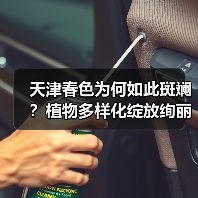 天津春色为何如此斑斓?植物多样化绽放绚丽景观(图2) 天津春色为何如此斑斓?植物多样化绽放绚丽景观(图2)