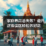 家庭养花总失败?避开这些误区轻松养好花(图1) 家庭养花总失败?避开这些误区轻松养好花(图1)