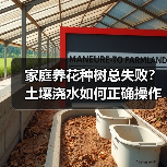 家庭养花种树总失败？土壤浇水如何正确操作？（图3）