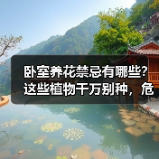 卧室养花禁忌有哪些？这些植物千万别种，危害你想不到（图3）