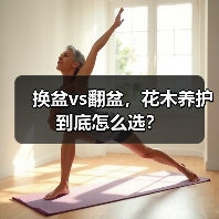 换盆vs翻盆,花木养护到底怎么选?(图2) 换盆vs翻盆,花木养护到底怎么选?(图2)
