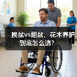 换盆vs翻盆,花木养护到底怎么选?(图3) 换盆vs翻盆,花木养护到底怎么选?(图3)