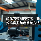 茶花老枝嫁接技术：高效培育多花色茶花方法解析（图4）