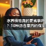 水养植物真的更省事吗？10种适合室内的保湿植物推荐（图1）