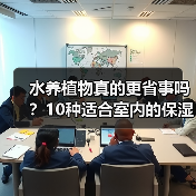 水养植物真的更省事吗？10种适合室内的保湿植物推荐（图3）