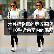 水养植物真的更省事吗？10种适合室内的保湿植物推荐（图4）