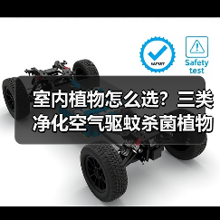 室内植物怎么选?三类净化空气驱蚊杀菌植物推荐(图4) 室内植物怎么选?三类净化空气驱蚊杀菌植物推荐(图4)