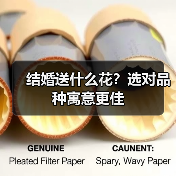 结婚送什么花?选对品种寓意更佳(图3) 结婚送什么花?选对品种寓意更佳(图3)