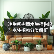 速生柳树算水生植物吗？水生植物分类解析（图3）
