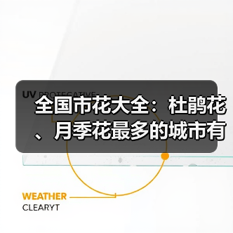 全国市花大全：杜鹃花、月季花最多的城市有哪些？