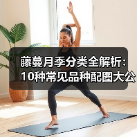 藤蔓月季分类全解析：10种常见品种配图大公开