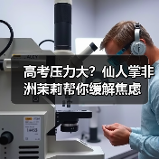 高考压力大?仙人掌非洲茉莉帮你缓解焦虑(图2) 高考压力大?仙人掌非洲茉莉帮你缓解焦虑(图2)