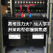 高考压力大?仙人掌非洲茉莉帮你缓解焦虑(图3) 高考压力大?仙人掌非洲茉莉帮你缓解焦虑(图3)