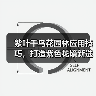 紫叶千鸟花园林应用技巧,打造紫色花境新选择(图4) 紫叶千鸟花园林应用技巧,打造紫色花境新选择(图4)