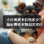 小叶黄杨木价格多少?揭秘黄杨木雕刻艺术价值(图2) 小叶黄杨木价格多少?揭秘黄杨木雕刻艺术价值(图2)