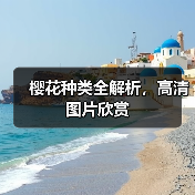 樱花种类全解析，高清图片欣赏（图4）