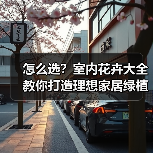 怎么选?室内花卉大全教你打造理想家居绿植环境(图2) 怎么选?室内花卉大全教你打造理想家居绿植环境(图2)