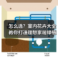 怎么选?室内花卉大全教你打造理想家居绿植环境(图4) 怎么选?室内花卉大全教你打造理想家居绿植环境(图4)