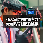 仙人掌防辐射真有效？家庭防辐射植物推荐