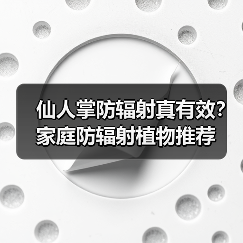 仙人掌防辐射真有效?家庭防辐射植物推荐(图4) 仙人掌防辐射真有效?家庭防辐射植物推荐(图4)