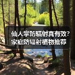 仙人掌防辐射真有效?家庭防辐射植物推荐(图3) 仙人掌防辐射真有效?家庭防辐射植物推荐(图3)