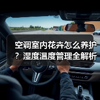 空调室内花卉怎么养护？湿度温度管理全解析