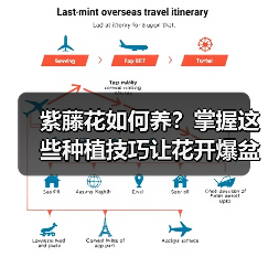 紫藤花如何养？掌握这些种植技巧让花开爆盆（图2）