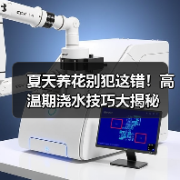 夏天养花别犯这错!高温期浇水技巧大揭秘(图3) 夏天养花别犯这错!高温期浇水技巧大揭秘(图3)