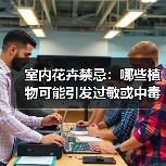 室内花卉禁忌:哪些植物可能引发过敏或中毒?(图3) 室内花卉禁忌:哪些植物可能引发过敏或中毒?(图3)
