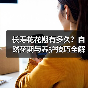 长寿花花期有多久?自然花期与养护技巧全解析(图1) 长寿花花期有多久?自然花期与养护技巧全解析(图1)