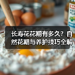 长寿花花期有多久?自然花期与养护技巧全解析(图3) 长寿花花期有多久?自然花期与养护技巧全解析(图3)
