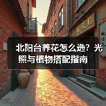 北阳台养花怎么选？光照与植物搭配指南