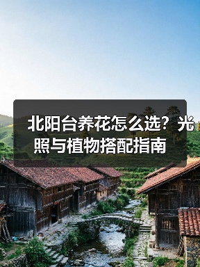 北阳台养花怎么选?光照与植物搭配指南(图4) 北阳台养花怎么选?光照与植物搭配指南(图4)