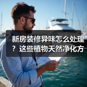 新房装修异味怎么处理?这些植物天然净化方法推荐(图4) 新房装修异味怎么处理?这些植物天然净化方法推荐(图4)
