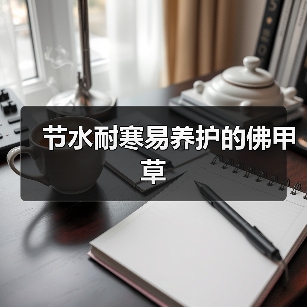 节水耐寒易养护的佛甲草