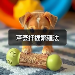 芦荟扦插繁殖法(图3) 芦荟扦插繁殖法(图3)