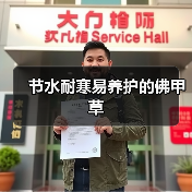 节水耐寒易养护的佛甲草(图4) 节水耐寒易养护的佛甲草(图4)
