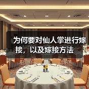 为何要对仙人掌进行嫁接，以及嫁接方法