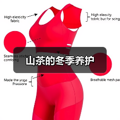 山茶的冬季养护(图3) 山茶的冬季养护(图3)