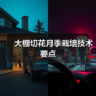 大棚切花月季栽培技术要点(图3) 大棚切花月季栽培技术要点(图3)