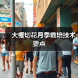 大棚切花月季栽培技术要点(图4) 大棚切花月季栽培技术要点(图4)