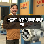 杜鹃红山茶的栽培与繁殖