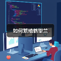 如何繁殖鹤望兰