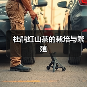 杜鹃红山茶的栽培与繁殖(图4) 杜鹃红山茶的栽培与繁殖(图4)
