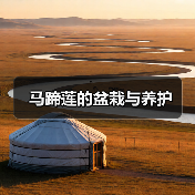 马蹄莲的盆栽与养护(图2) 马蹄莲的盆栽与养护(图2)
