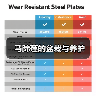 马蹄莲的盆栽与养护(图3) 马蹄莲的盆栽与养护(图3)